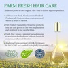 image:imageAloderma Aloe Hair Care Set  Oil Control Shampoo Nourishing Conditioner
