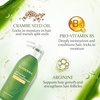 image:imageAloderma Aloe Hair Care Set  Oil Control Shampoo Nourishing Conditioner