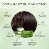 image:imageAloderma Aloe Hair amp Body Care Set Volumizing Shampoo Aloe Vera Gel 500g