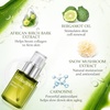 image:imageAloderma Aloe Hydrating Set  Firming Serum Botanical Hydrating Mist  Made Within 12h of Harvest Farm Fresh Aloe Vera Hydrating amp Moisturizing Skin Care Set