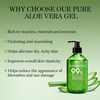 image:imageAloderma Aloe Vera Gel  Large 176oz Value Pump  Made within 12 Hours of Harvest with 99 Organic Aloe Vera Lightweight NonSticky for Sunburns Natural Soothing Aloe Vera for Face amp Hair176 Fl Oz Pack of 6