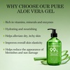 image:imageAloderma Aloe Vera Gel  Large 176oz Value Pump  Made within 12 Hours of Harvest with 99 Organic Aloe Vera Lightweight NonSticky for Sunburns Natural Soothing Aloe Vera for Face amp Hair176 Fl Oz Pack of 1