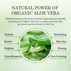 image:imageAloderma Aloe Vera Gel amp Tea Tree Oil for Face Scalp amp After Sun 106 oz  Made with 90 organic aloe harvested in 12 hours Unscented 300g pump bottle great for oily skin body scalp hair shaving2