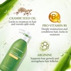 image:imageAloderma Nourishing Conditioner Fresh Organic Aloe amp Crambe Oil 162 oz  Made with Pure Aloe Juice for dry damaged hair Farmtobottle hydration processed in 12 hours Daily care for soft hairConditioner  Nourishing