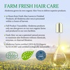 image:imageAloderma Nourishing Conditioner Fresh Organic Aloe amp Crambe Oil 162 oz  Made with Pure Aloe Juice for dry damaged hair Farmtobottle hydration processed in 12 hours Daily care for soft hairShampoo  Nourishing