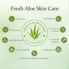image:imageAloe Vera Gel Set 3 Pcs  Skin Hydrator 300g Gel  Tea Tree Oil amp 45g